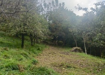 IMG20231021095307.jpg - Casa indipendente Via Calcinara di Torbi 19, Ceranesi - foto 29