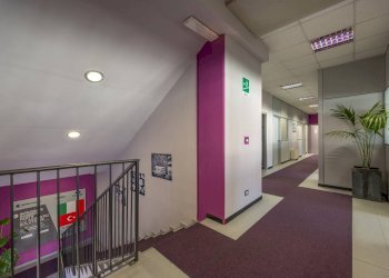 Capannone Via Giovanni Battista Feroggio, Torino - foto 19