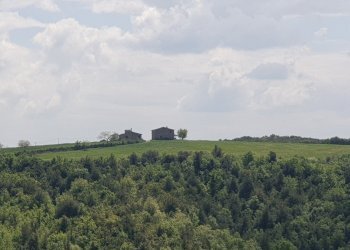 20220509_120757.jpg - Casale LOCALITA COLONNETTA, Orvieto - foto 2