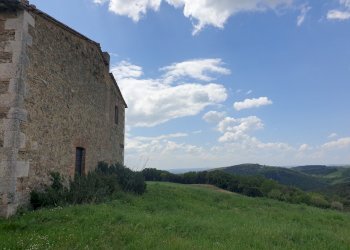 20220509_123802.jpg - Casale LOCALITA COLONNETTA, Orvieto - foto 25