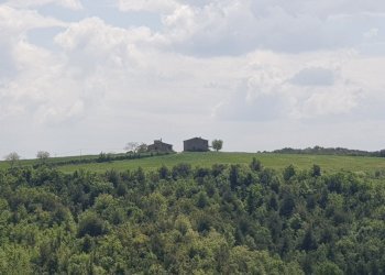 20220509_120758.jpg - Casale LOCALITA COLONNETTA, Orvieto - foto 26