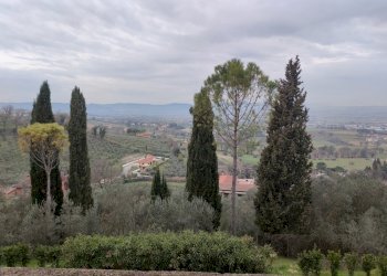 IMG_20220304_122309.jpg - Independent house Terni - photo 27