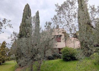 IMG_20220304_123231.jpg - Independent house Terni - photo 29