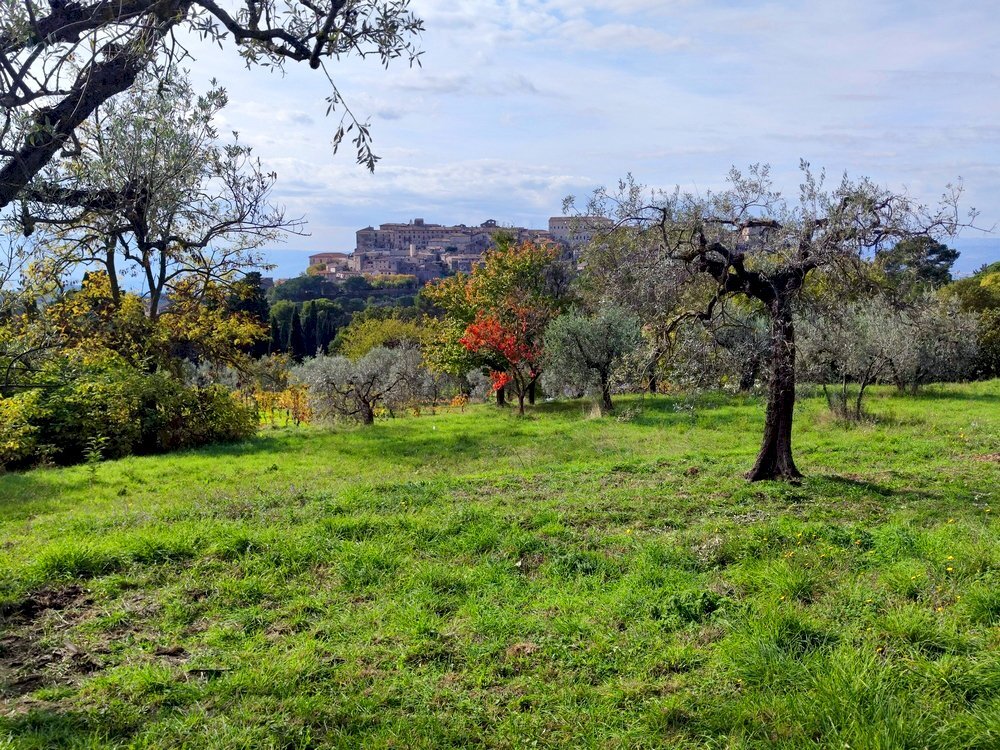terreno edificabile umbria lugnano (2).jpg - Building land Via del Cardino, Lugnano in Teverina - photo 1