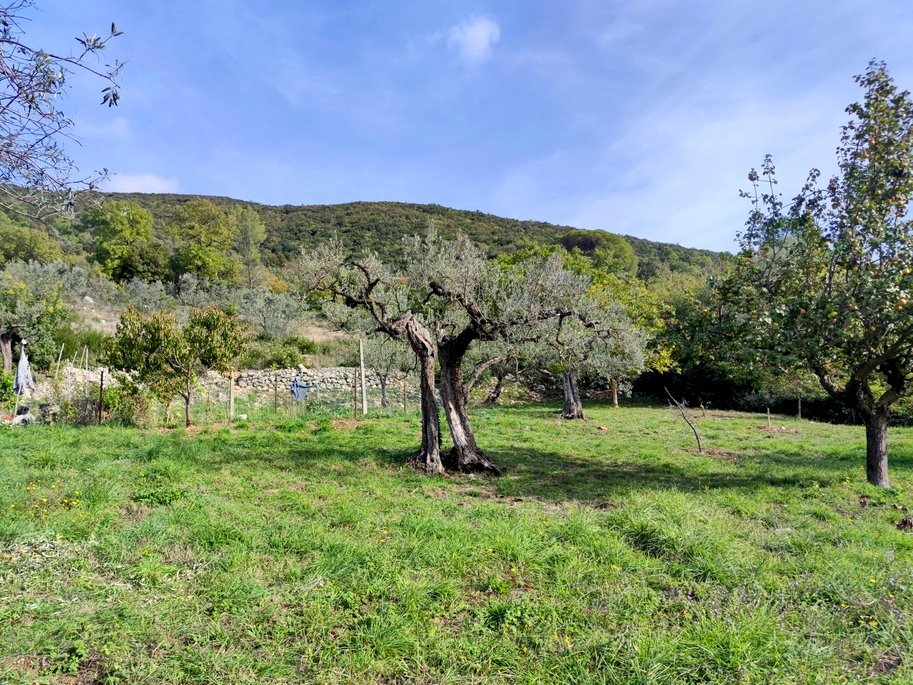 terreno edificabile umbria lugnano (9).jpg - Building land Via del Cardino, Lugnano in Teverina - photo 3