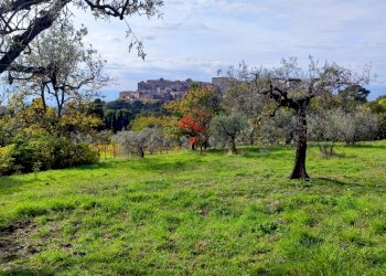 terreno edificabile umbria lugnano (2).jpg - Terreno edificabile Via del Cardino, Lugnano in Teverina - foto 1