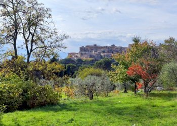 terreno edificabile umbria lugnano (8).jpg - Terreno edificabile Via del Cardino, Lugnano in Teverina - foto 2