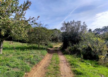 terreno edificabile umbria lugnano (12).jpg - Terreno edificabile Via del Cardino, Lugnano in Teverina - foto 5