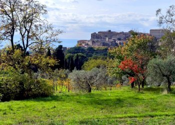 terreno edificabile umbria lugnano1.jpg - Terreno edificabile Via del Cardino, Lugnano in Teverina - foto 6