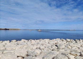 WhatsApp Image 2023-11-09 at 12.12.08 (2).jpeg - Pub - Enoteca - Wine Bar Via Don Leonardo Zangara 999, Castellammare del Golfo - foto 15