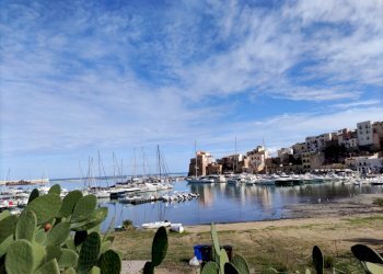 WhatsApp Image 2023-11-09 at 12.12.09 (1).jpeg - Pub - Enoteca - Wine Bar Via Don Leonardo Zangara 999, Castellammare del Golfo - foto 17