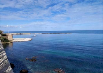 WhatsApp Image 2023-11-09 at 12.12.11 (1).jpeg - Pub - Enoteca - Wine Bar Via Don Leonardo Zangara 999, Castellammare del Golfo - foto 24