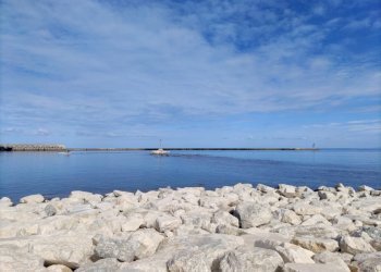 WhatsApp Image 2023-11-09 at 12.12.11 (3).jpeg - Pub - Enoteca - Wine Bar Via Don Leonardo Zangara 999, Castellammare del Golfo - foto 26