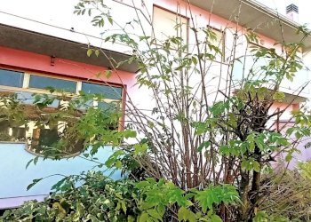 Casa indipendente Mareno di Piave - foto 9