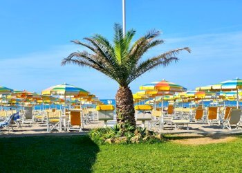 PHOTO-2024-11-29-18-13-56.jpg - Loft Carrara - photo 2