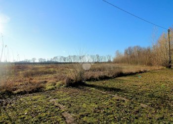Terreno edificabile Via picenardi, Campagnola Emilia - foto 6