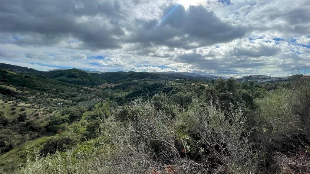 Agricultural land Bisignano - photo 3