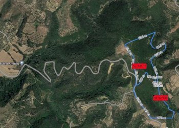 Terreno agricolo Bisignano - foto 1