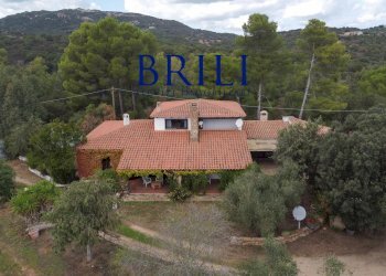 Villa Località Macciuccatu Olbia, Olbia - foto 3