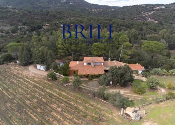 Villa Località Macciuccatu Olbia, Olbia - foto 4