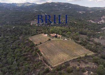 Villa Località Macciuccatu Olbia, Olbia - foto 5