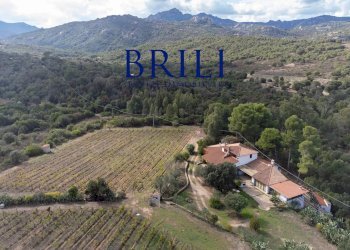 Villa Località Macciuccatu Olbia, Olbia - foto 6