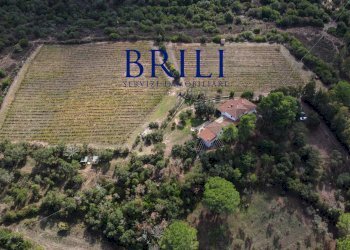 Villa Località Macciuccatu Olbia, Olbia - foto 7