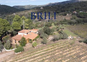 Villa Località Macciuccatu Olbia, Olbia - foto 8