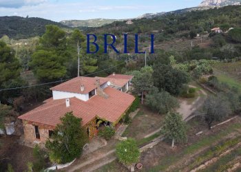 Villa Località Macciuccatu Olbia, Olbia - foto 9