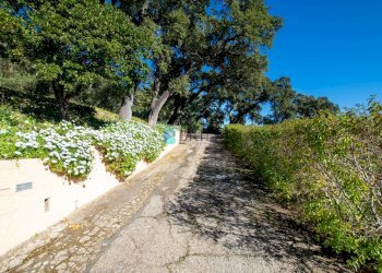 INGRESSO PROPRIETA\' - Villa REGIONE SA ADDE, Luras - foto 47