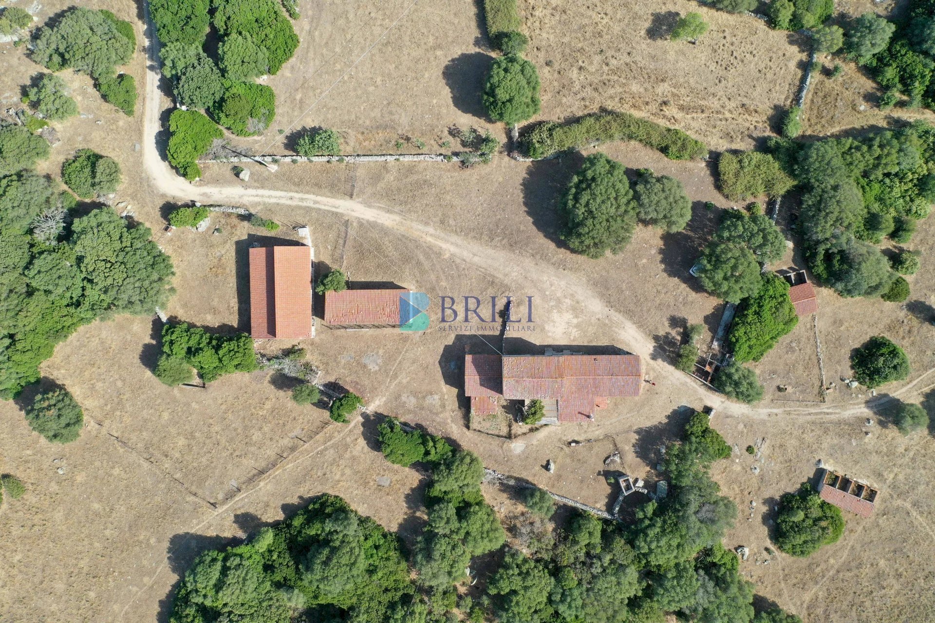 VISTA DRONE - Azienda agricola LOCALITA' ALIASA, Luogosanto - foto 1