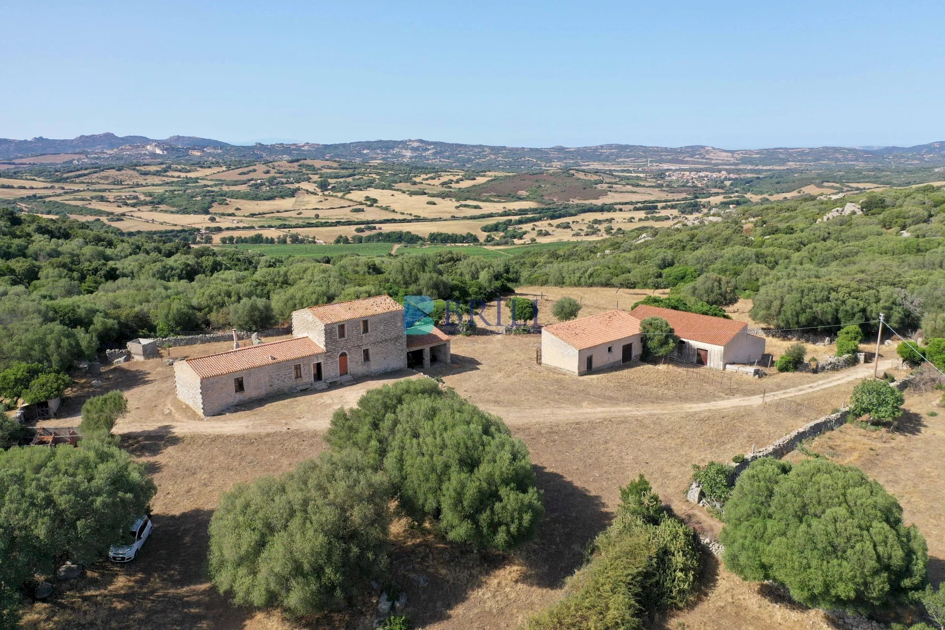 VISTA DRONE - Azienda agricola LOCALITA' ALIASA, Luogosanto - foto 2