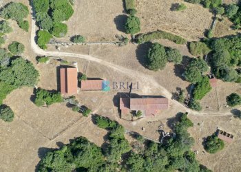 VISTA DRONE - Azienda agricola LOCALITA' ALIASA, Luogosanto - foto 1