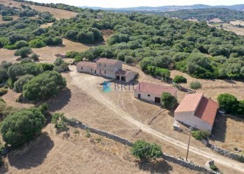 VISTA DRONE - Azienda agricola LOCALITA' ALIASA, Luogosanto - foto 3