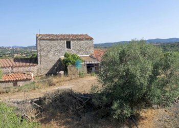 STAZZO - Azienda agricola LOCALITA' ALIASA, Luogosanto - foto 5