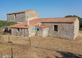 STAZZO - Azienda agricola LOCALITA' ALIASA, Luogosanto - foto 7