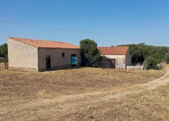 STALLE - Azienda agricola LOCALITA' ALIASA, Luogosanto - foto 8