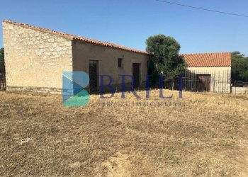 STALLE - Azienda agricola LOCALITA' ALIASA, Luogosanto - foto 21