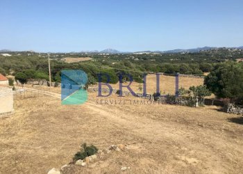 TERRENO - Azienda agricola LOCALITA' ALIASA, Luogosanto - foto 23