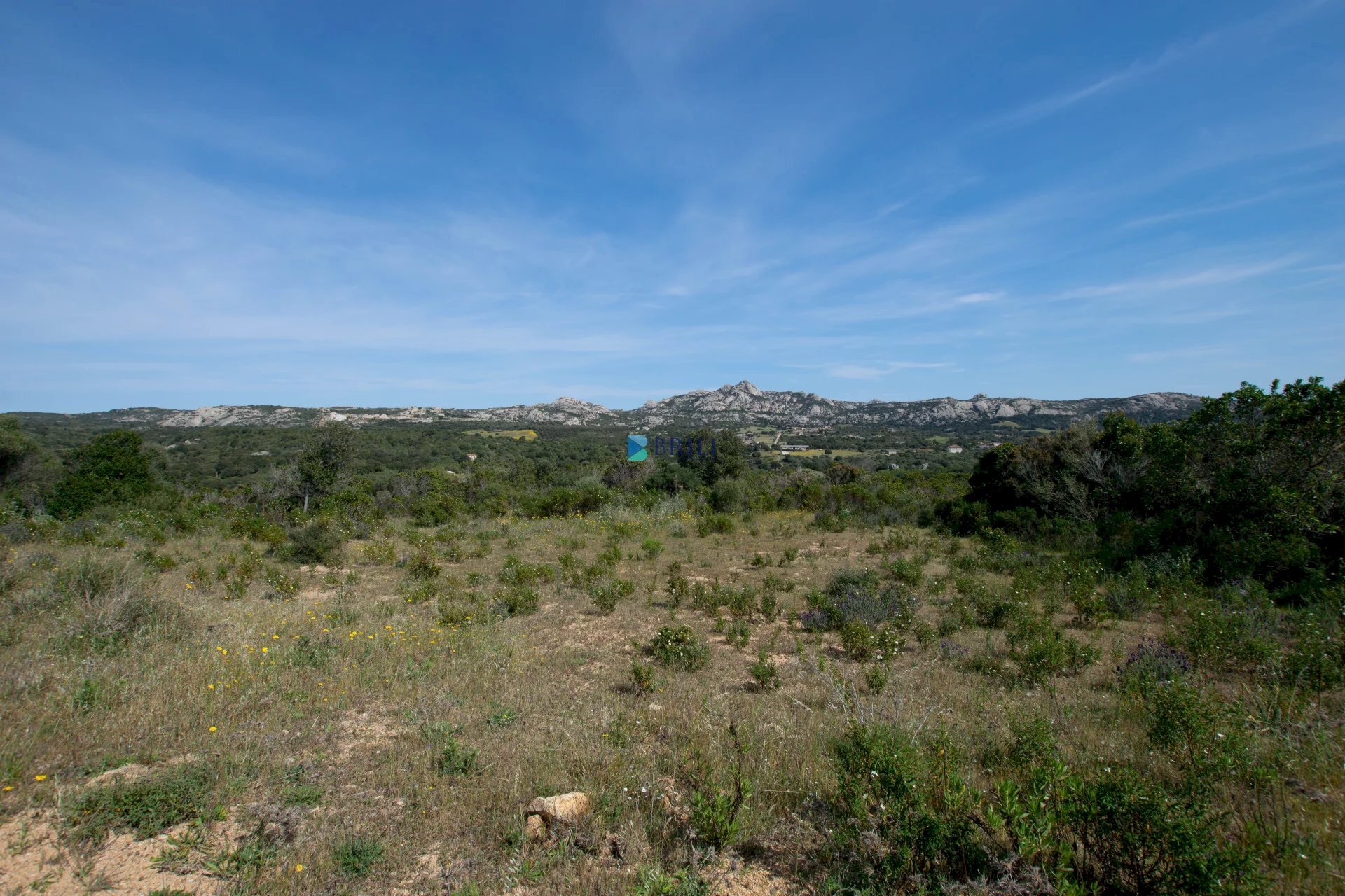 TERRENO PANORAMICO - Terreno agricolo SURRAU  SS, Arzachena - foto 2