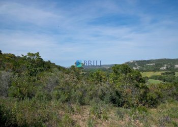 TERRE - Terreno agricolo SURRAU SS, Arzachena - foto 3