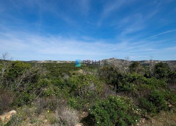 TERRENO - Terreno agricolo SURRAU SS, Arzachena - foto 4