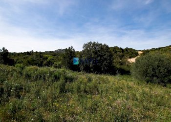 TERRENO - Terreno agricolo SURRAU SS, Arzachena - foto 6