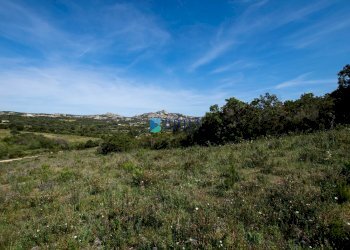 TERRENO - Terreno agricolo SURRAU SS, Arzachena - foto 7