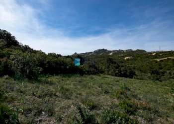 TERRENO - Terreno agricolo SURRAU SS, Arzachena - foto 10