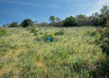 TERRENO - Terreno agricolo SURRAU SS, Arzachena - foto 11