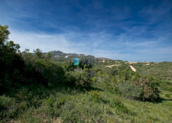 TERRENO - Terreno agricolo SURRAU SS, Arzachena - foto 12