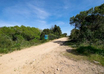 TERRENO - Terreno agricolo SURRAU SS, Arzachena - foto 17