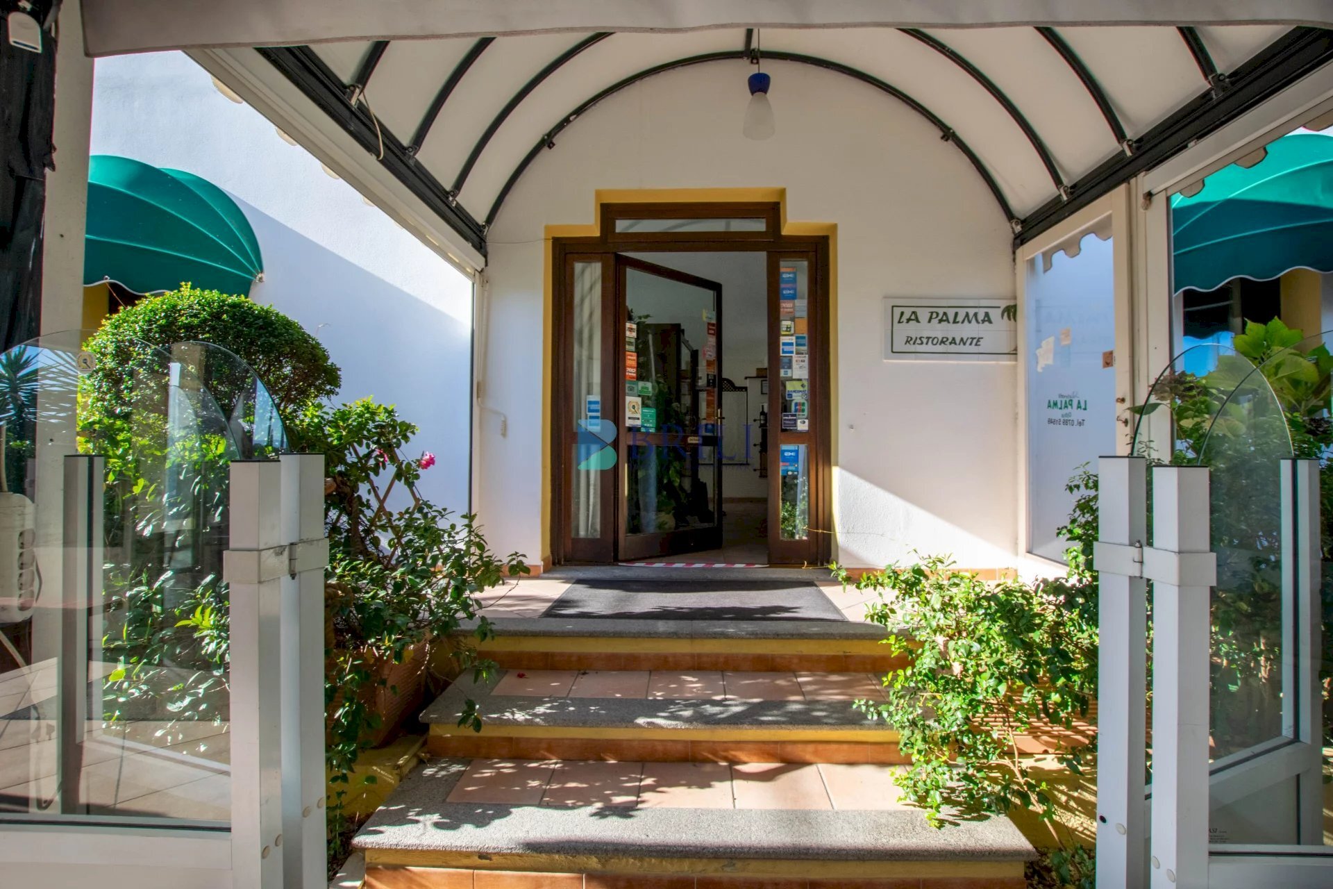 Negozio Viale Aldo Moro, Olbia - foto 1