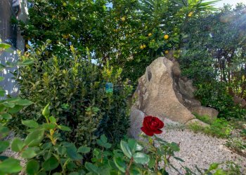 Shop Viale Aldo Moro, Olbia - photo 22